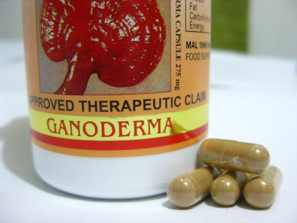 Ganoderma (Ганодерма) - средство для похудения