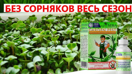 GARDEN PEST (Гарден Пест) - средство от сорняков