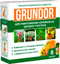 Грундор - средство для уничтожения сорняков